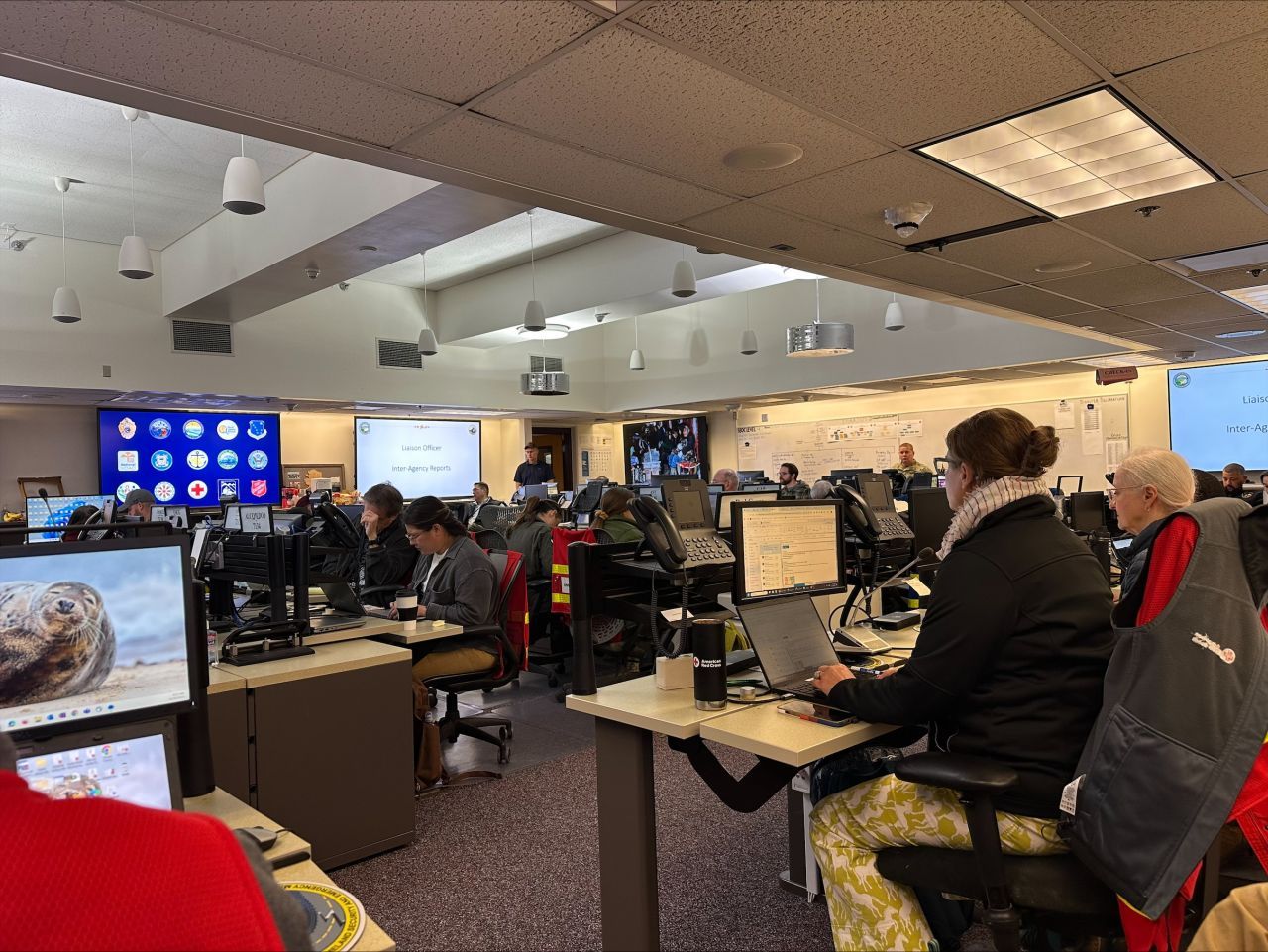 processed-D57BC621-4E59-45EF-B9F7-74A725EB8676-4