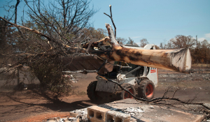 mg_7176
