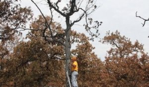 2012-oklahoma-fire-0012-bobnigh