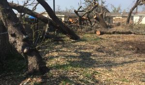 2017-09-14_Disaster-Relief_Gordon-Williams-Jr_9