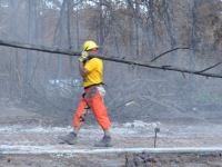 2012 Colorado Fire