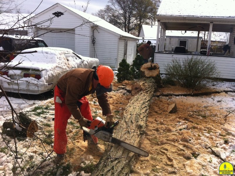 Chainsaw Crew in New Jersey