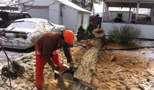 Chainsaw Crew in New Jersey