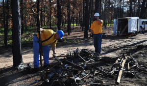 crowelldavid-082013-dr-blackforestco-06