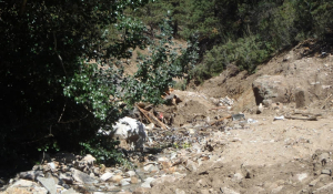 20130928_coloradofloods_steelmanclay_0007