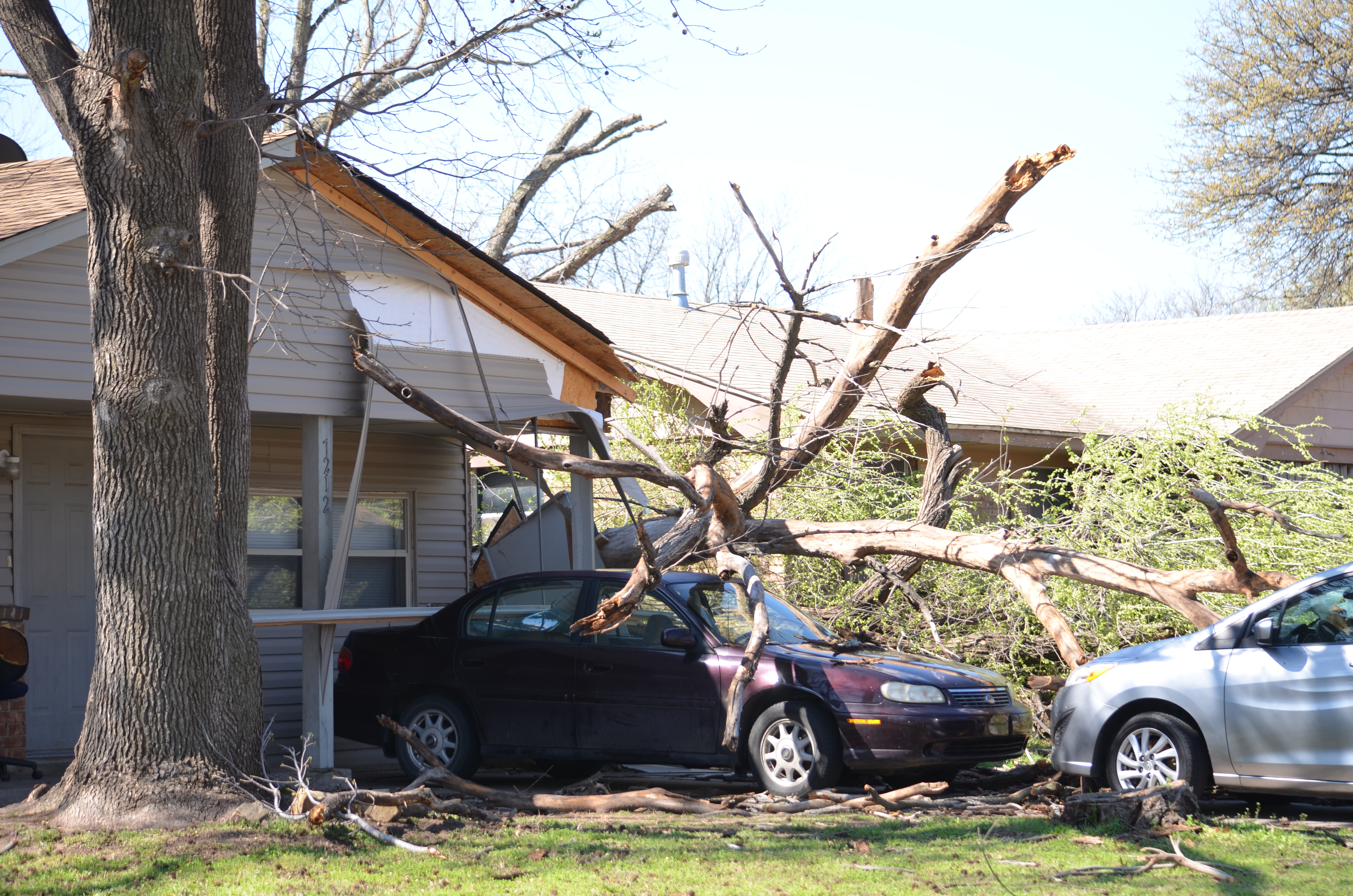 20150326-tornado-tree-on-car-BOBNIGH