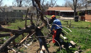 20150326-tornado-Chainsaw-JACKMCALISTER