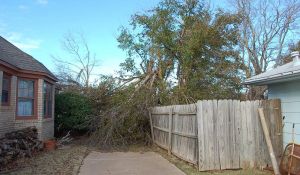 2015 Ice Storm