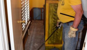 2015---Disaster-Relief---Hurricane-Patricia-22402228264