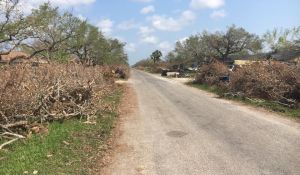 2017-09-14_Disaster-Relief_Gordon-Williams-Jr_12