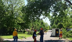 2017---disaster-relief---oklahoma-city-ok_33553726524_o