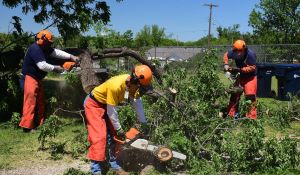2017---disaster-relief---oklahoma-city-ok_33585603833_o