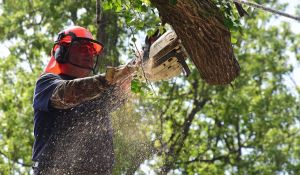 2017---disaster-relief---oklahoma-city-ok_33793649493_o