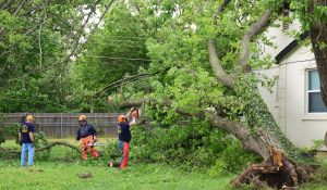 2017---disaster-relief---oklahoma-city-ok_34053162760_o