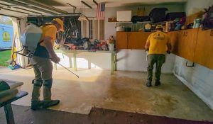 vlcsnap-2022-10-12-13h18m38s983