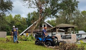 vlcsnap-2022-10-12-13h23m42s445