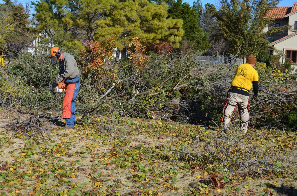 Tree limbs pile up, as Disaster Relief volunteers clear out affected yards (Photo: Chris Doyle)