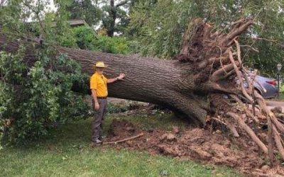 Disaster Relief responds to Aug. 6 Tulsa tornado