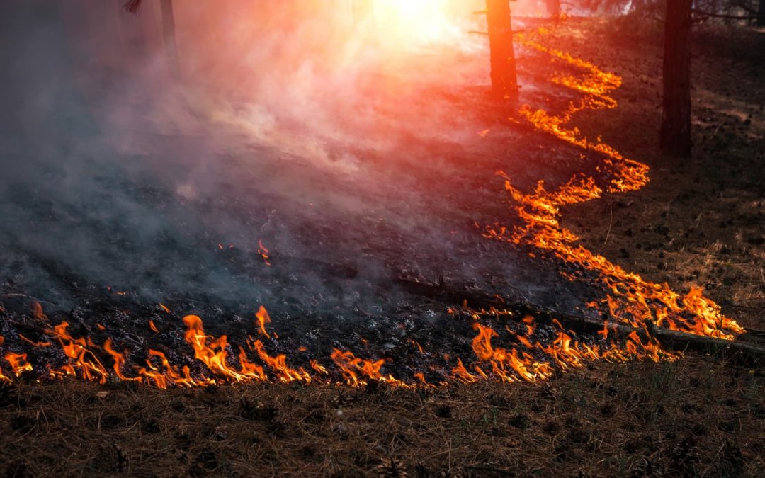 Oklahoma Baptist chaplains dispatched to California