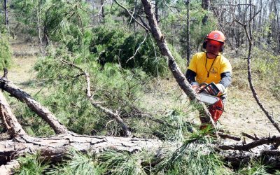 Seminole Sees Significant Tornado Damage; Baptist DR Responds