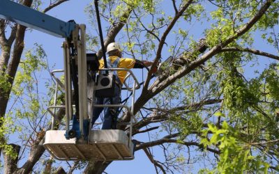 DR Serves OBU and Other OK Areas Affected by April 19 Tornadoes